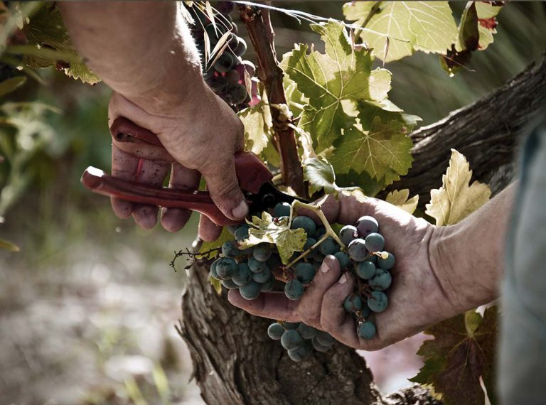 Architect ubiquitous deliverables