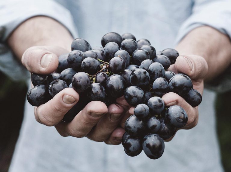 Streamline customized models